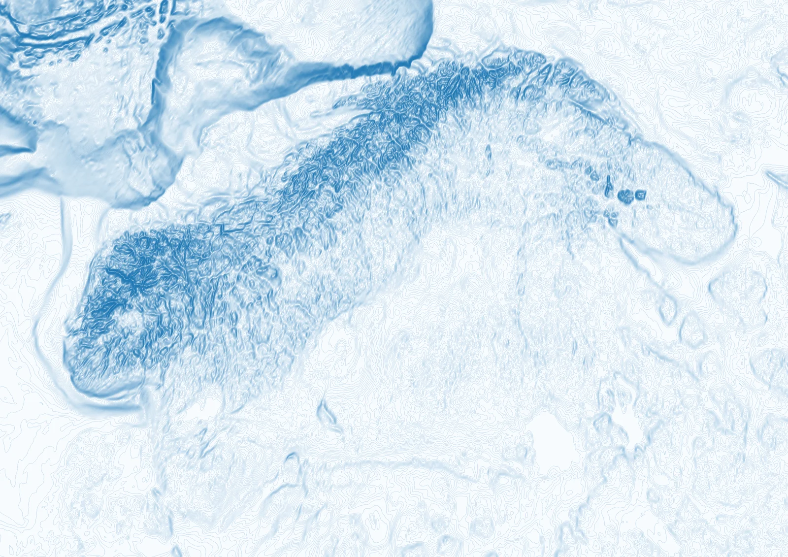 Blue and white relief map of Scandinavia and the Kola Peninsula showing land and seabed contours.